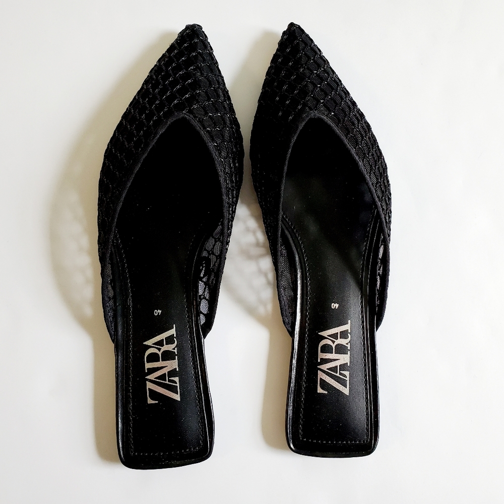 Zara Point Toe Netted Mules
